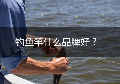 钓鱼竿什么品牌好？