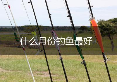 什么月份钓鱼最好