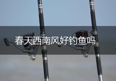 春天西南风好钓鱼吗