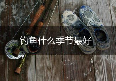 钓鱼什么季节最好