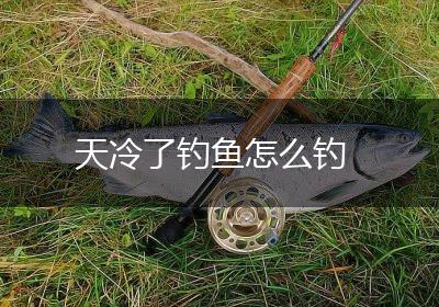 天冷了钓鱼怎么钓