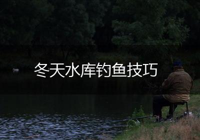 冬天水库钓鱼技巧