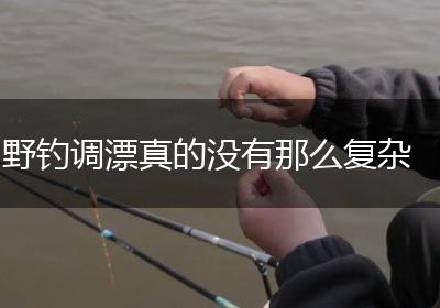 野钓调漂真的没有那么复杂