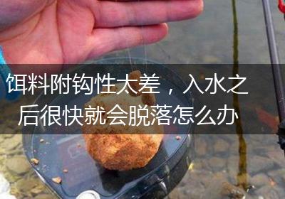 饵料附钩性太差，入水之后很快就会脱落怎么办