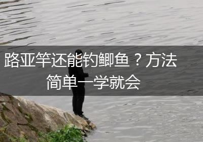 路亚竿还能钓鲫鱼？方法简单一学就会