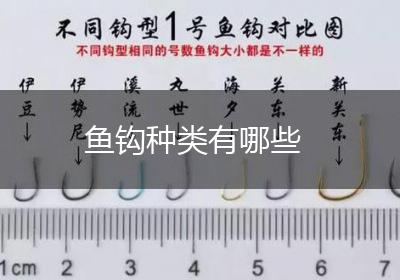 鱼钩种类有哪些