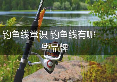 钓鱼线常识 钓鱼线有哪些品牌