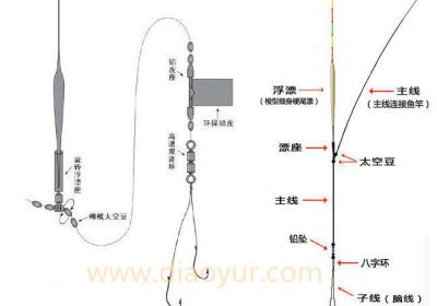 鱼线种类及线组的绑法详细图解