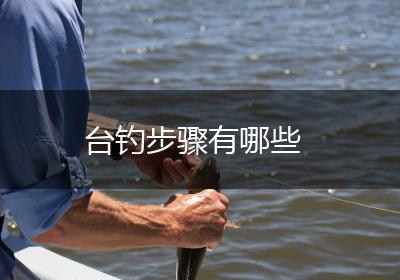 台钓步骤有哪些