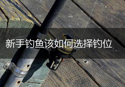 新手钓鱼该如何选择钓位