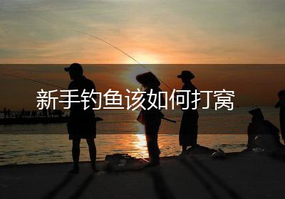 新手钓鱼该如何打窝