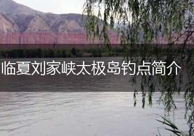 临夏刘家峡太极岛钓点简介