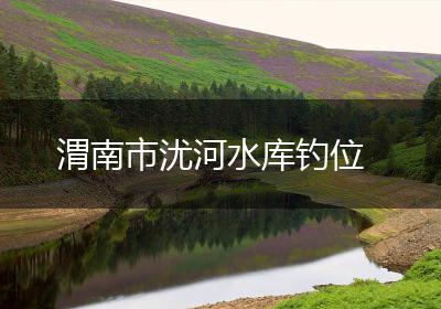 渭南市沋河水库钓位