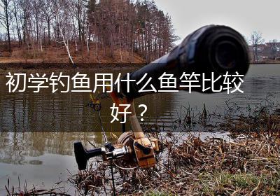 初学钓鱼用什么鱼竿比较好？