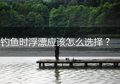 钓鱼时浮漂应该怎么选择？
