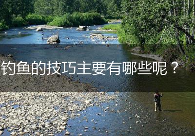 钓鱼的技巧主要有哪些呢？