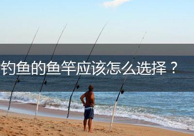 钓鱼的鱼竿应该怎么选择？