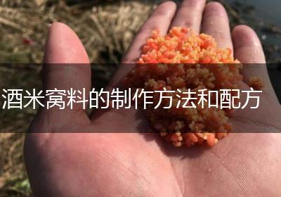 酒米窝料的制作方法和配方