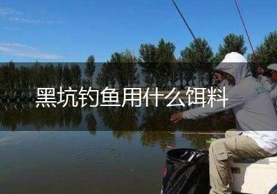 黑坑钓鱼用什么饵料