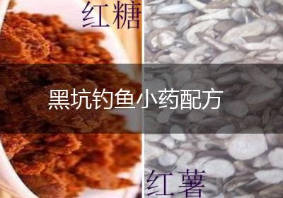 黑坑钓鱼小药配方