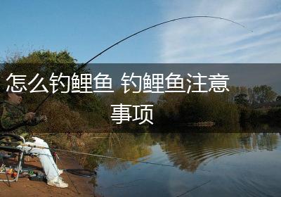 怎么钓鲤鱼 钓鲤鱼注意事项