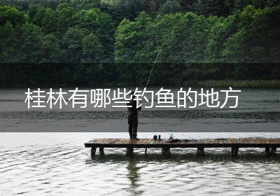 桂林有哪些钓鱼的地方