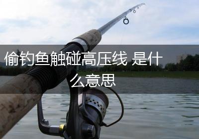 偷钓鱼触碰高压线 是什么意思