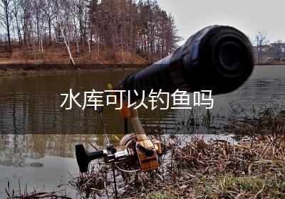 水库可以钓鱼吗