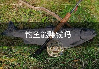 钓鱼能赚钱吗