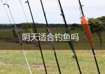 阴天适合钓鱼吗