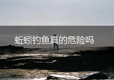 蚯蚓钓鱼真的危险吗