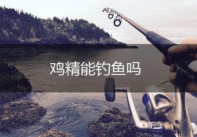 鸡精能钓鱼吗