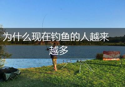 为什么现在钓鱼的人越来越多