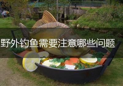 野外钓鱼需要注意哪些问题