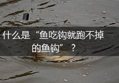 什么是“鱼吃钩就跑不掉的鱼钩”？