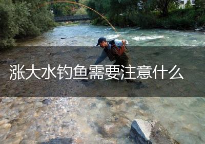 涨大水钓鱼需要注意什么