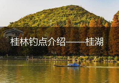 桂林钓点介绍——桂湖
