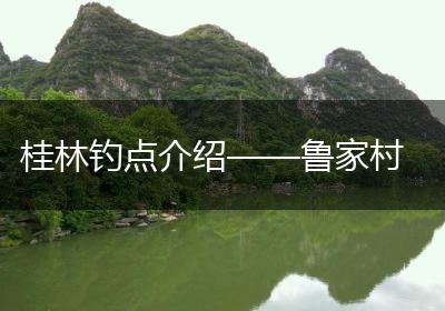 桂林钓点介绍——鲁家村