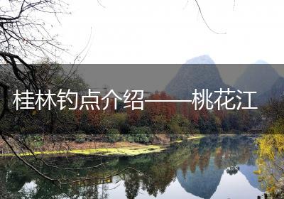 桂林钓点介绍——桃花江