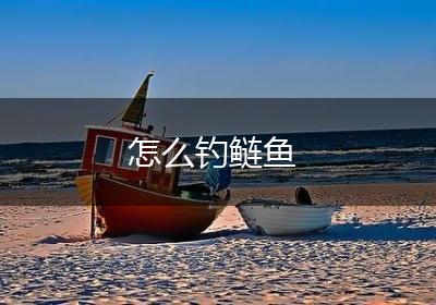 怎么钓鲢鱼