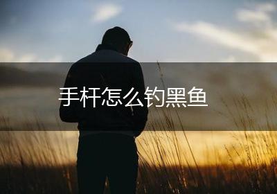 手杆怎么钓黑鱼