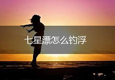 七星漂怎么钓浮