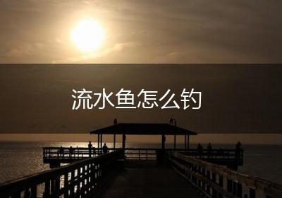 流水鱼怎么钓
