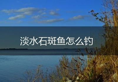 淡水石斑鱼怎么钓