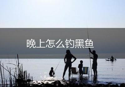 晚上怎么钓黑鱼