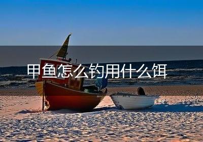 甲鱼怎么钓用什么饵