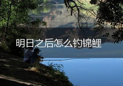 明日之后怎么钓锦鲤