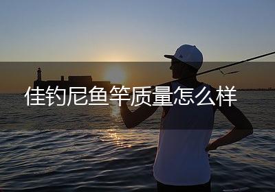 佳钓尼鱼竿质量怎么样