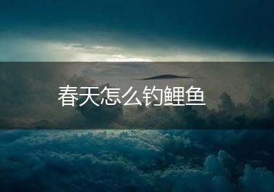 春天怎么钓鲤鱼