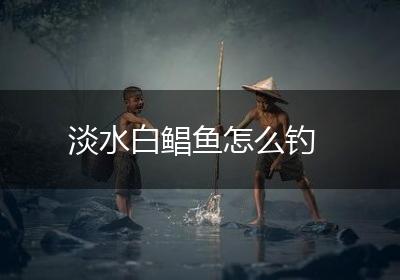淡水白鲳鱼怎么钓